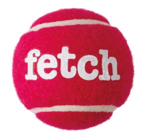 fetch