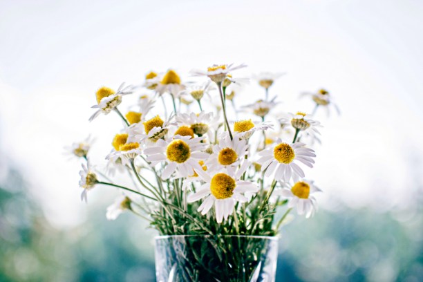 Happiness hacks everyone should try